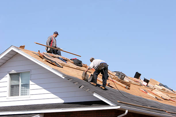 Best Roof Insulation Installation  in Valley, NE